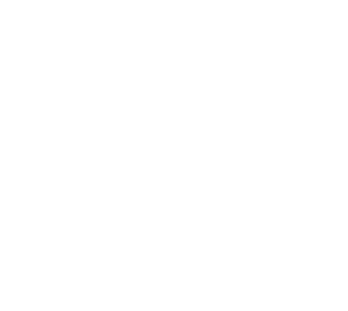 Despite The End logo